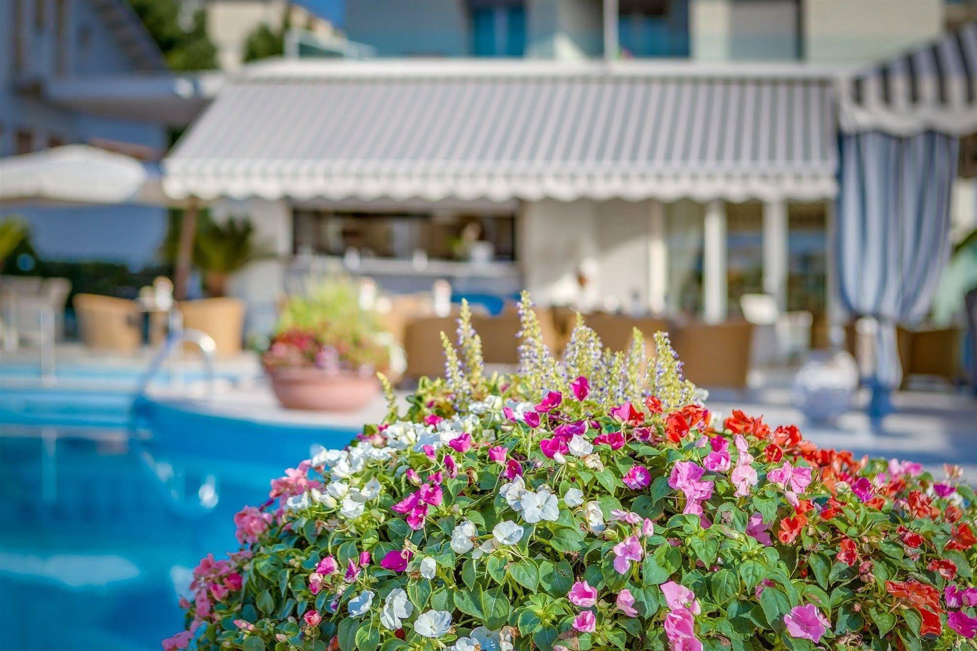 Hotel Delle Mimose Lido di Jesolo Exteriér fotografie